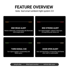 Load image into Gallery viewer, TESERY NeuroLight丨Model 3/Y Dashboard RGB Lights with Integrated BSD System