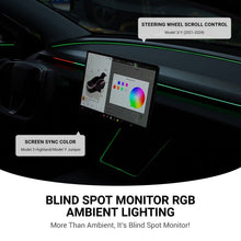 Load image into Gallery viewer, TESERY NeuroLight丨Model 3/Y Dashboard RGB Lights with Integrated BSD System