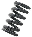 Tein Honda / Acura Replacement Straight Spring C06 - ID 70mm - Length 250mm - 6kg (pair)