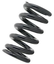Load image into Gallery viewer, Tein Standard Spring 5kg ID 70mm Free Length 175mm (Two Springs) - SW050-01175
