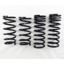 RS-R 05-13 Lexus IS250/350 RWD (GSE20/GSE21) Down Sus Springs - T275D