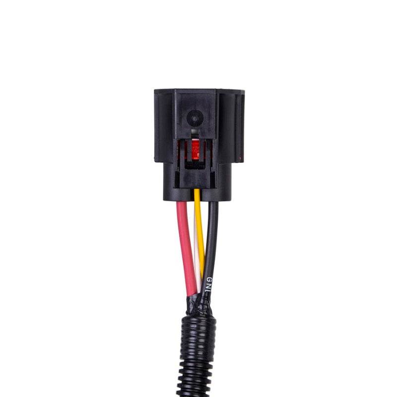 SPAL Harness Adapter for Brushless Fans - SBL-YAZ-PT10-PKG