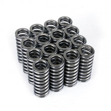 Load image into Gallery viewer, Skunk2 Alpha Series Honda D Series VTEC Valve Spring Set - 311-05-1345
