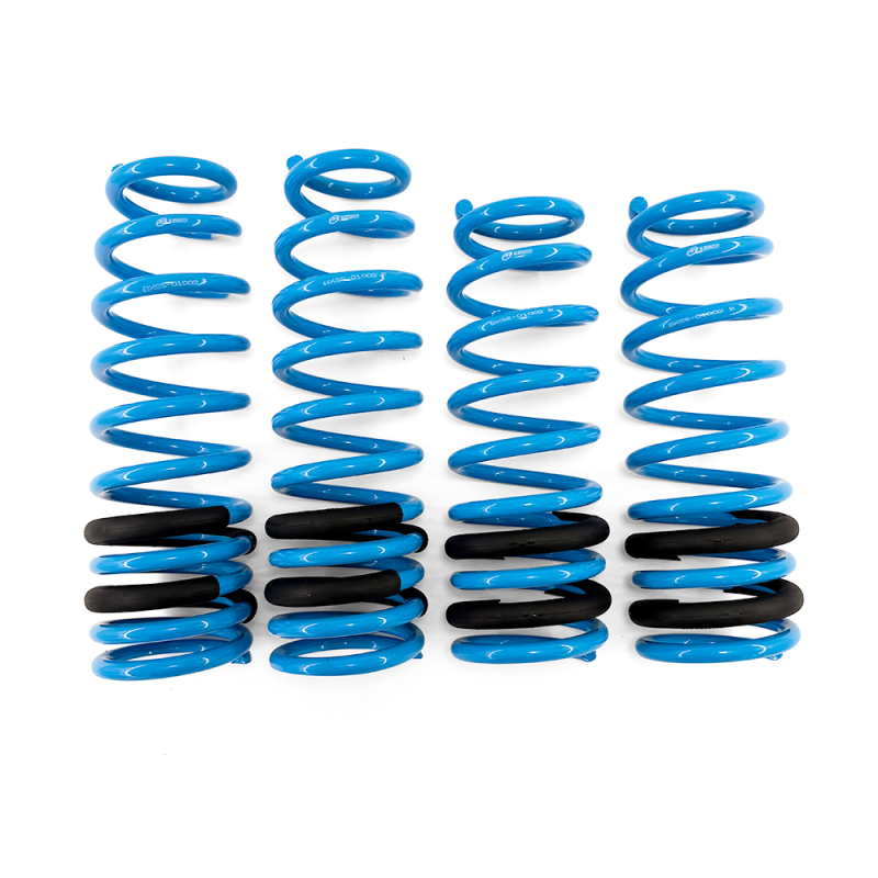 BLOX Racing Lowering Springs 96-00 Honda Civic - BXSS-01002