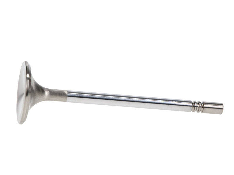 Manley Ford Racing Cylinder Head 4.6L & 5.4L SOHC 36.0mm Race Master Exhaust Valves *Set of 8* - 11637-8