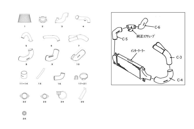 GReddy 95-02 Nissan Skyline GT-R BCNR33/BNR34 Twin Airinx AY-S Intake Kit w/ 80mm Z32 Airflow Meters - 11920264