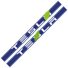 Load image into Gallery viewer, Side Skirt Stripe Decals (2-Pack) | 3 Styles | Multiple Colors | Scratch Protection