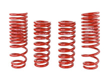 Load image into Gallery viewer, Skunk2 90-93 Acura Integra Lowering Springs (2.50in - 2.25in.) (Set of 4) - 519-05-1640