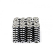 Load image into Gallery viewer, Skunk2 Alpha Series Honda/Acura D Series Valve Spring and Titanium Retainer Kit - 344-05-1350
