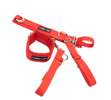 Load image into Gallery viewer, NRG SFI 3.3 Arm Restraints One Pair - Red - SBH-AR01RD