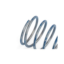 Load image into Gallery viewer, APR 76-83 Porsche 911 R1 DV Higher Pressure Spring - Blue - Z1001791