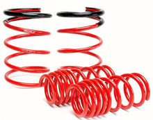 Load image into Gallery viewer, Skunk2 02-04 Acura RSX Lowering Springs (2.25in - 2.00in.) (Set of 4) - 519-05-1670