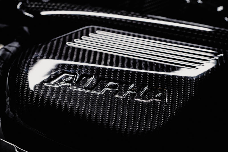 AMS Performance 15-18 BMW M3 / 15-20 BMW M4 w/ S55 3.0L Turbo Engine Carbon Fiber Intake - AMS.39.08.0001-1