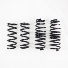 RS-R Nissan Fairlady Z Nismo Down Sus Springs (No Cancel/No Returns) - N136D