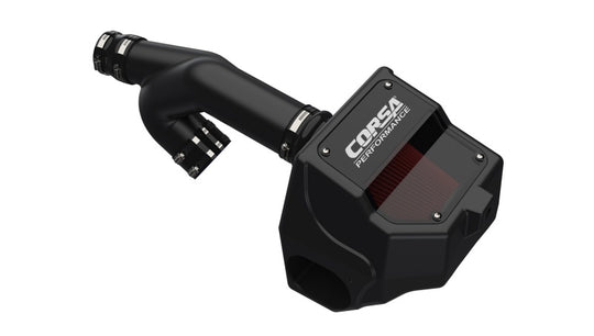 Corsa 2017-2020 Ford F-150 3.5L EcoBoost Cold Air Intake with DryTech air filter - 49835D