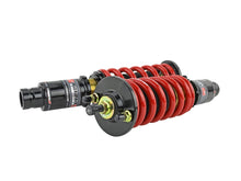 Load image into Gallery viewer, Skunk2 92-95 Honda Civic / 94-01 Acura Integra Pro-ST Coilovers (Front 10 kg/mm - Rear 10 kg/mm) - 541-05-8720