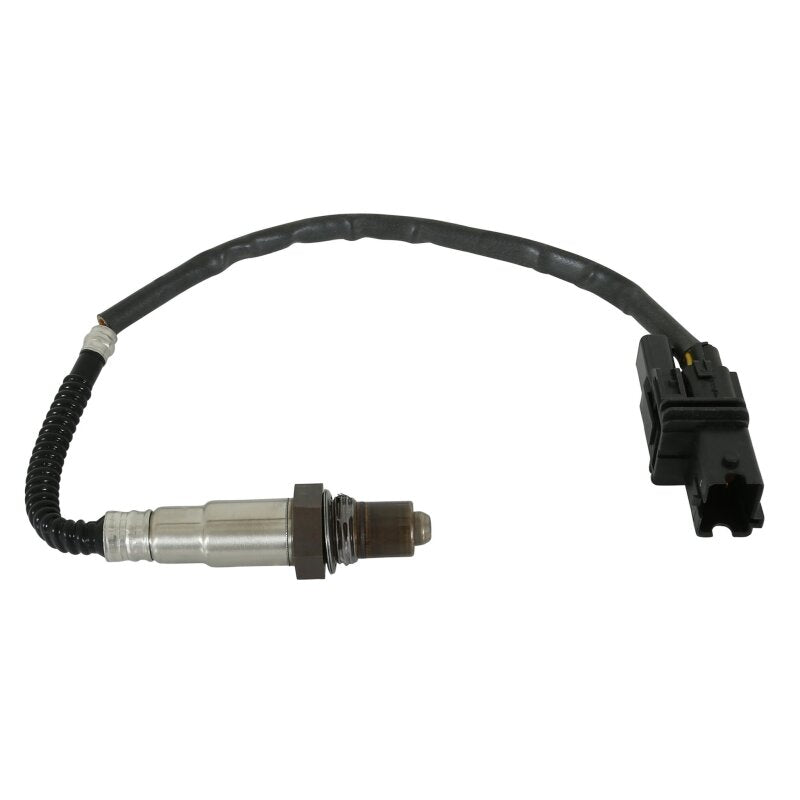 AEM Universal Wideband UEGO Sensor with Stainless Manifold Bung Install Kit - 30-2063