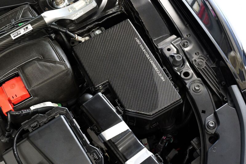 HKS DRY CARBON FUSE BOX COVER FL5 - 70026-AH014