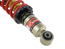 Load image into Gallery viewer, Skunk2 05-06 Acura RSX (All Models) Pro S II Coilovers (10K/10K Spring Rates) - 541-05-4735