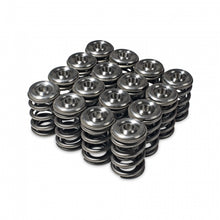 Load image into Gallery viewer, Skunk2 Alpha Series Honda/Acura H Series Valve Spring and Titanium Retainer Kit - 344-05-1360