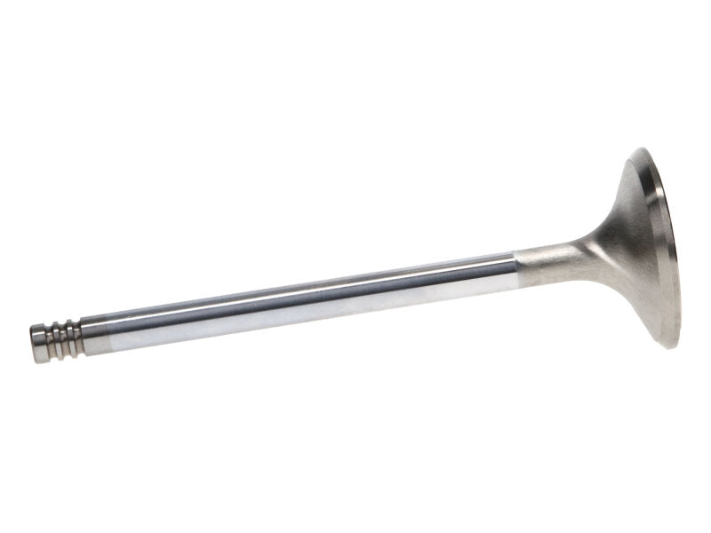 Manley Chrysler Hemi 6.1L w/ Triple Groove 1.625in Race Master Exhaust Valves (Set of 8) - 11671-8