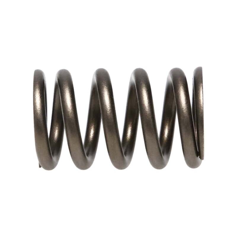 Manley Valve Spring, SPRING-NISSAN PATROL TB48 - 22155-24