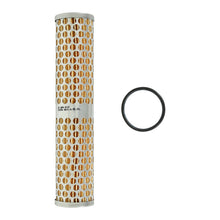 Load image into Gallery viewer, AEM Universal High Volume Fuel Filter Element - 25-202