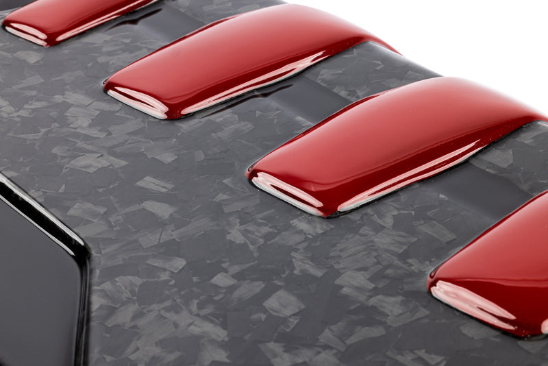 APR 17-20 Audi RS3 Engine Cover Gloss - Forged Carbon Fiber - MS100235
