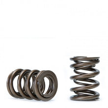 Load image into Gallery viewer, Skunk2 Tuner Series Honda/Acura (K20/K24/F20C/F22C) DOHC VTEC Alpha Valve Spring Set (Dual Springs) - 311-05-1380