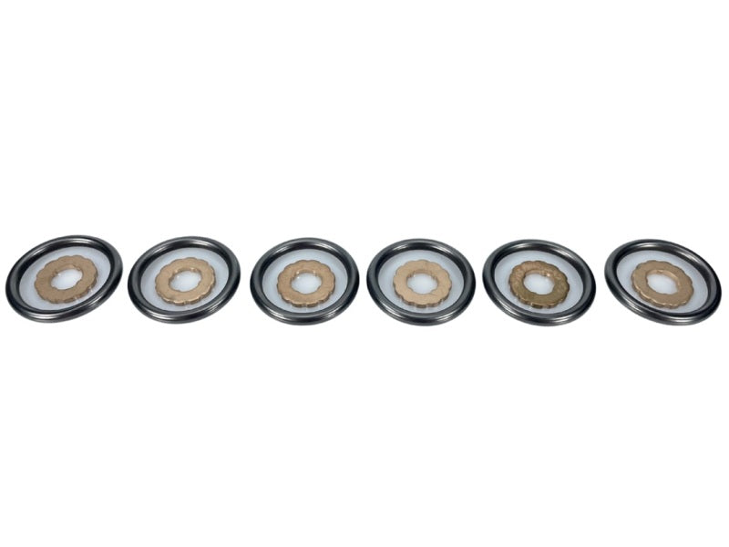 Exergy 2019+ Dodge Cummins 6.7L Seal Kit w/O-Ring & Copper Gasket - E05 20901