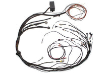 Load image into Gallery viewer, Haltech Elite 1000 Terminated Harness - HT-140878