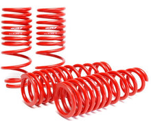 Load image into Gallery viewer, Skunk2 94-01 Acura Integra Lowering Springs (2.50in - 2.25in.) (Set of 4) - 519-05-1560