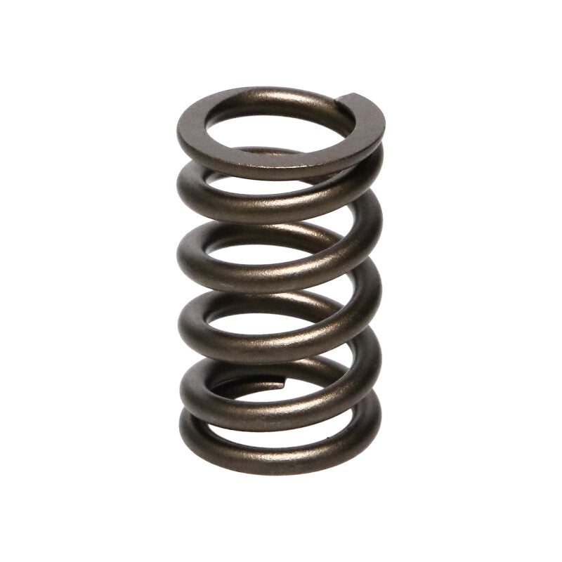 Manley Nissan (RB26DET) 24pc Valve Springs - 22175-24
