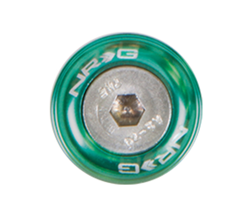 NRG Fender Washer Kit w/Rivets For Metal (Green) - Set of 10 - FW-110GN