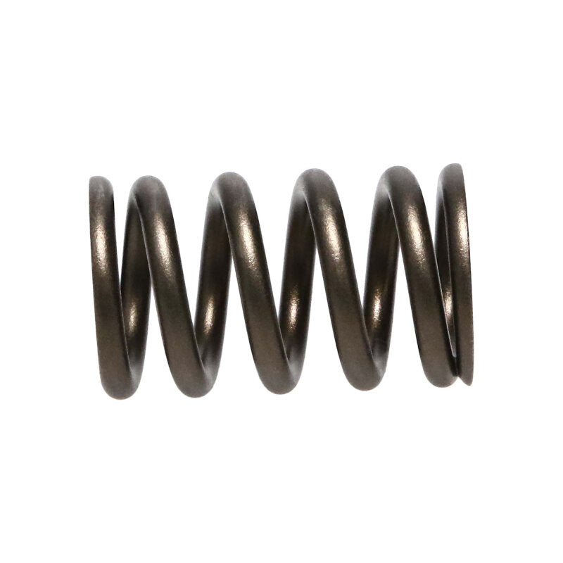 Manley Nissan (RB26DET) 24pc Valve Springs - 22175-24