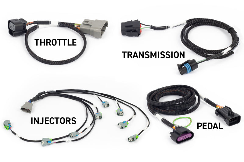 Haltech NEXUS Rebel LS Gen IV 6-Pin DBW Throttle/EV6 Injectors/Manual Transmission - HT-220204