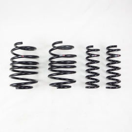 RS-R 2015+ Ford Mustang GT Down Sus Springs - FO120D