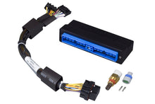 Load image into Gallery viewer, Haltech Elite 750 Plug-n-Play Adaptor Harness