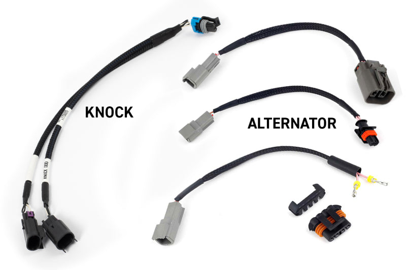 Haltech NEXUS Rebel LS Gen III Cable Throttle/EV1 Injectors/Manual Transmission - HT-220201