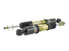 Load image into Gallery viewer, Skunk2 06-11 Honda Civic Si Pro ST Coilovers - 541-05-8750