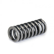 Load image into Gallery viewer, Skunk2 Alpha Series Honda D Series VTEC Valve Spring Set - 311-05-1345
