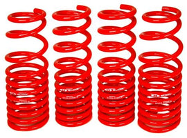 BLOX Racing 06-11 Honda Civic Lowering Springs - BXSS-01003