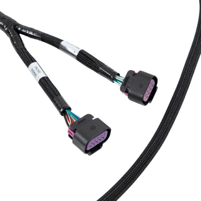AEM EV VCU 275 LV Front Harness - 30-8604