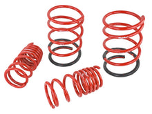 Load image into Gallery viewer, Skunk2 02-05 Honda Civic Si Hatchback Lowering Springs (2.25in - 2.00in.) (Set of 4) - 519-05-1575