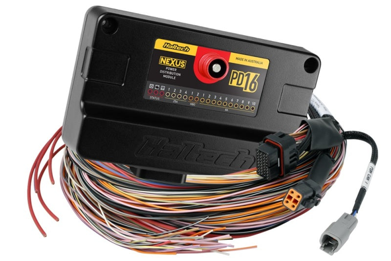Haltech NEXUS PD16 + Flying Lead Harness - 5m (16ft) - HT-198201