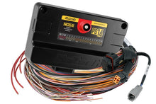 Load image into Gallery viewer, Haltech NEXUS PD16 + Flying Lead Harness - 5m (16ft)