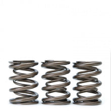 Load image into Gallery viewer, Skunk2 Tuner Series Honda/Acura (B16A/ B17A/ B18C) DOHC VTEC Alpha Valve Spring Set (Dual Springs) - 311-05-1350