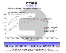Load image into Gallery viewer, Cobb 14-19 Ford Fiesta ST Stage 1 Power Package - 62FX11