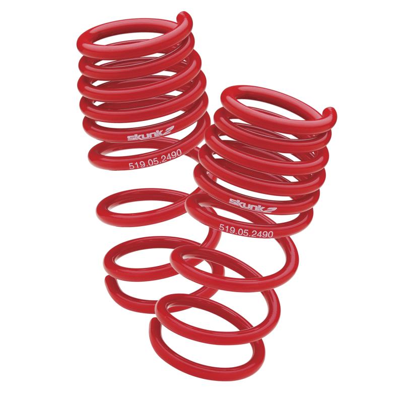 Skunk2 94-01 Acura Integra Lowering Springs (2.50in - 2.25in.) (Set of 4) - 519-05-1560