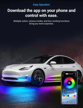 Load image into Gallery viewer, LED Chassis Ambient Lights for Tesla Model 3/Y (4PCS)